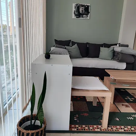 Star Apartment Pocerski Pricinovic